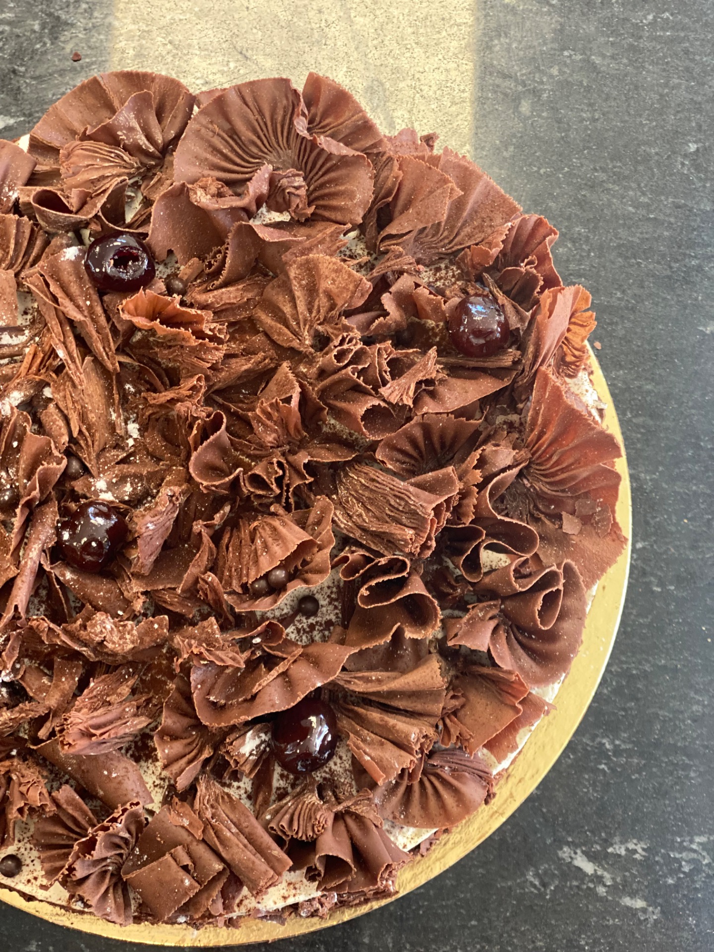 FORET NOIRE 6/8pers 40€